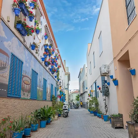 Calido Apartamento En Centro Con Terraza