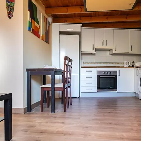 Calido Apartamento En Centro Con Terraza Apartment *